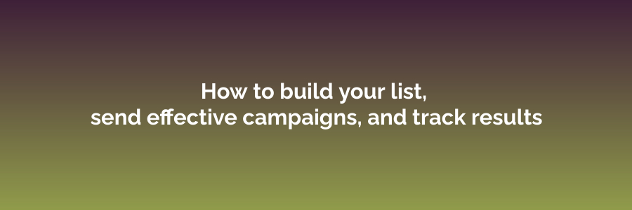 How to build your list, send effective campaigns, and track results