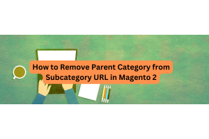 How to Remove Parent Category from Subcategory URL in Magento 2