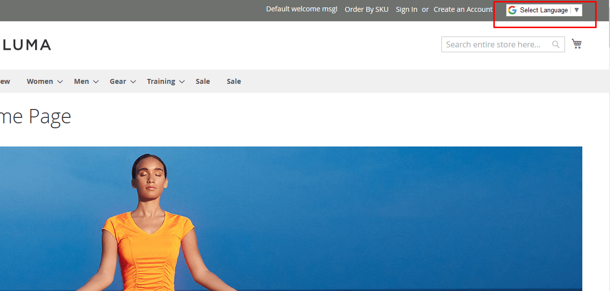 Frontend Language Option Frontend Language Option