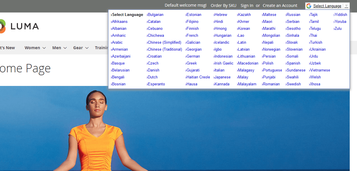Frontend Language Section Frontend Language Section