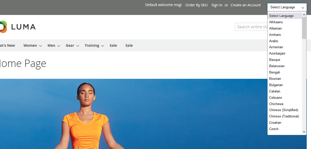 Frontend Language Drop Down Frontend Language Drop Down