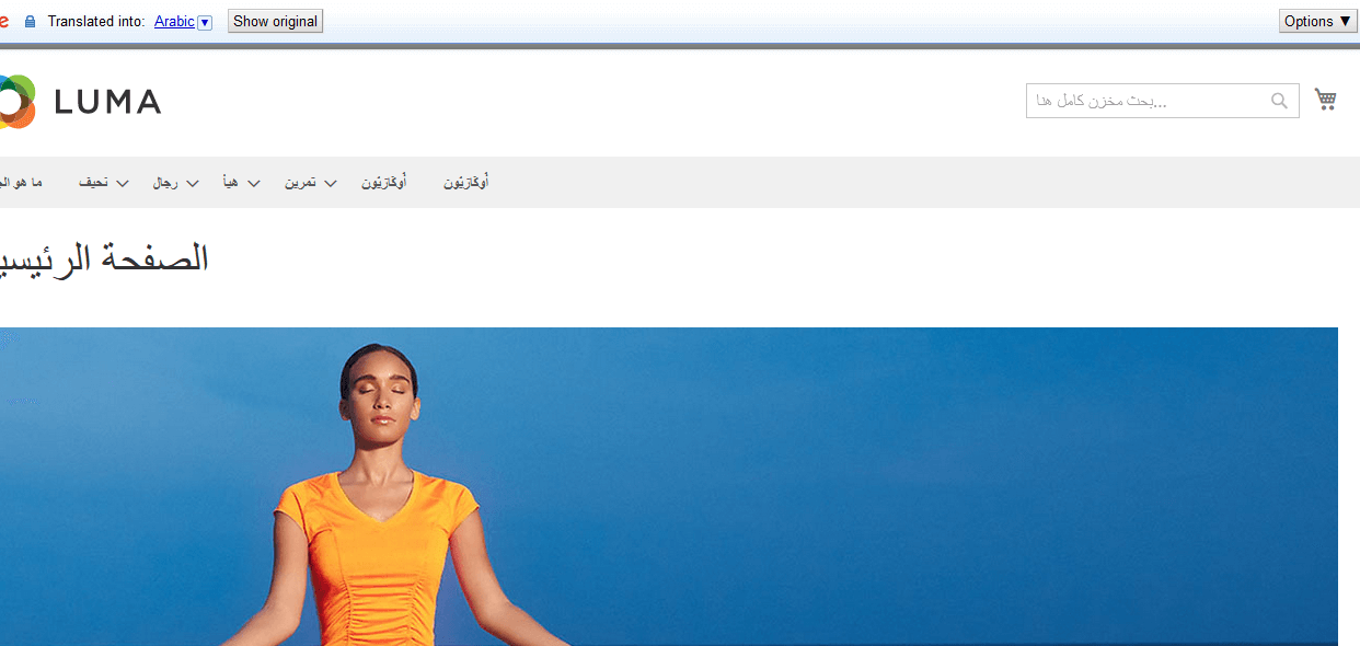 Translated Text Translated Text