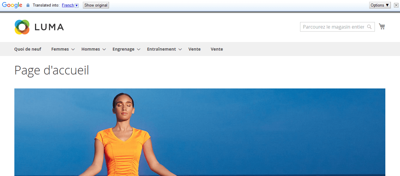 Translated Text Translated Text