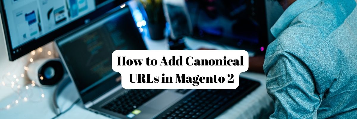 How to Add Canonical URLs in Magento 2?