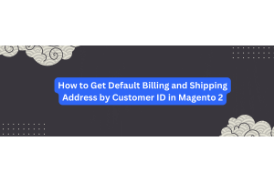 How to Get Default Billing and Shipping Address by Customer ID in Magento 2