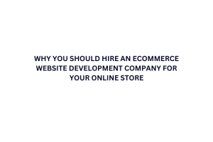Why You Should Hire an Ecommerce Website Development Company for Your Online Store