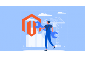 How to remove test customers in magento 2?