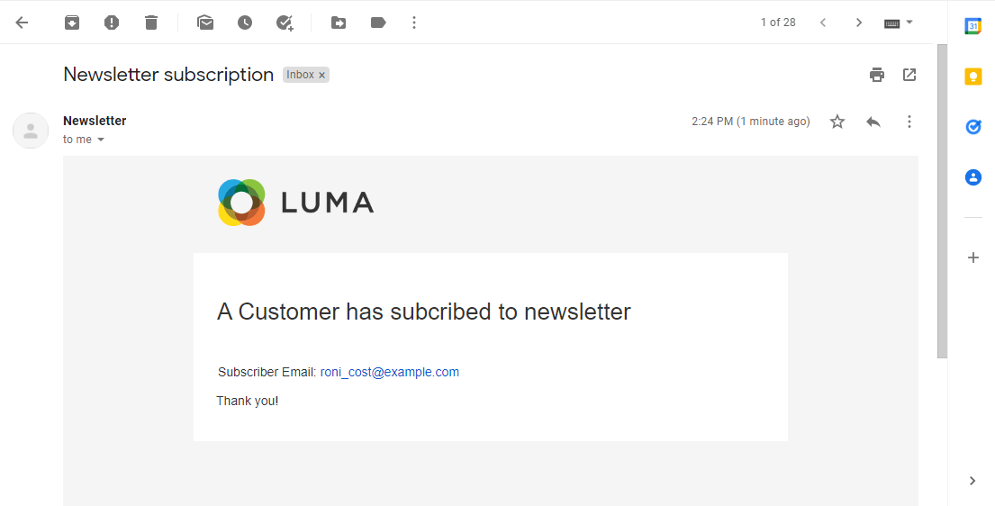 Newsletter Subscription Email